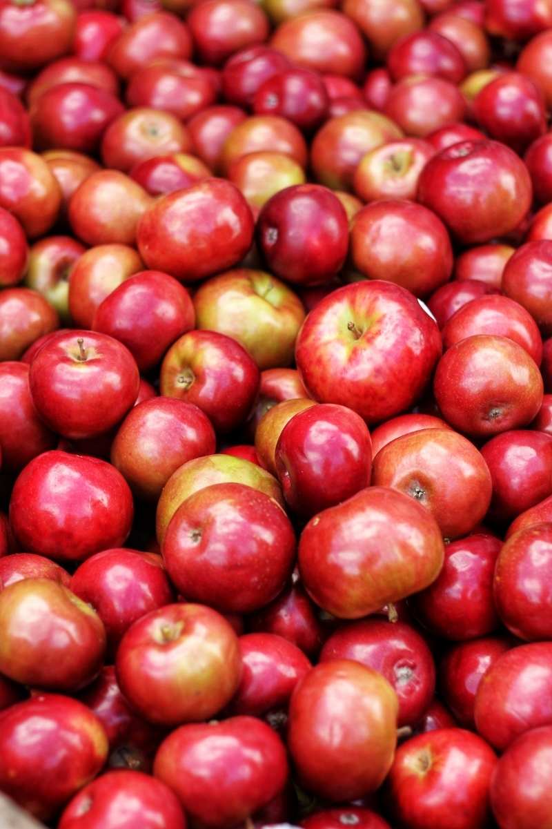 A large pile of shiny red apples.