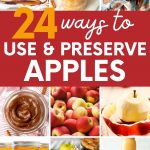 Collage of ways to preserve and use apples. A text overlay reads, "24 Ways to Preserve Apples."