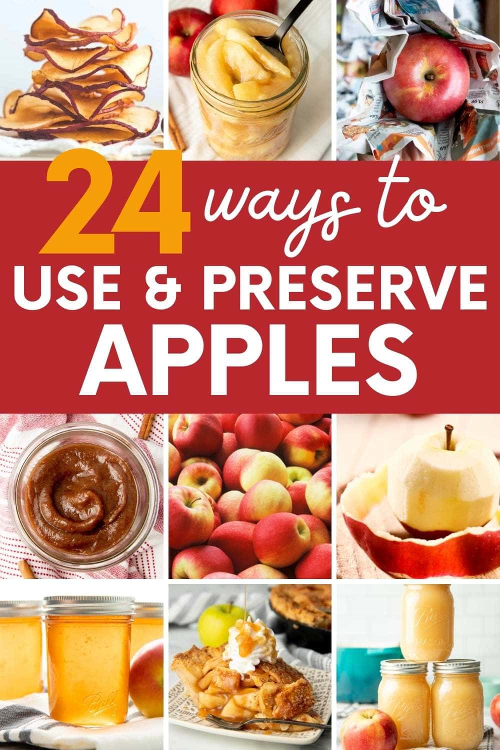 24+ Things to Do With Apples (Preserving & Cooking)