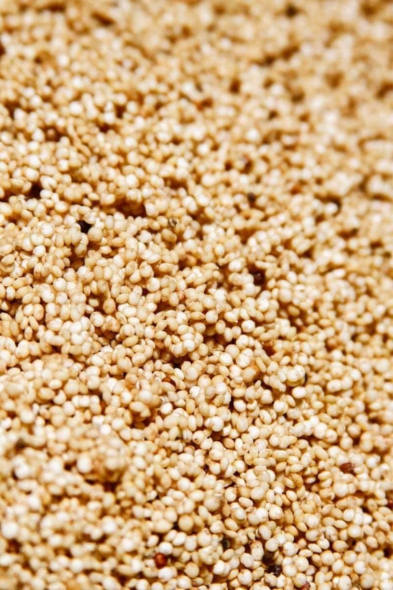 Close view quinoa grains.