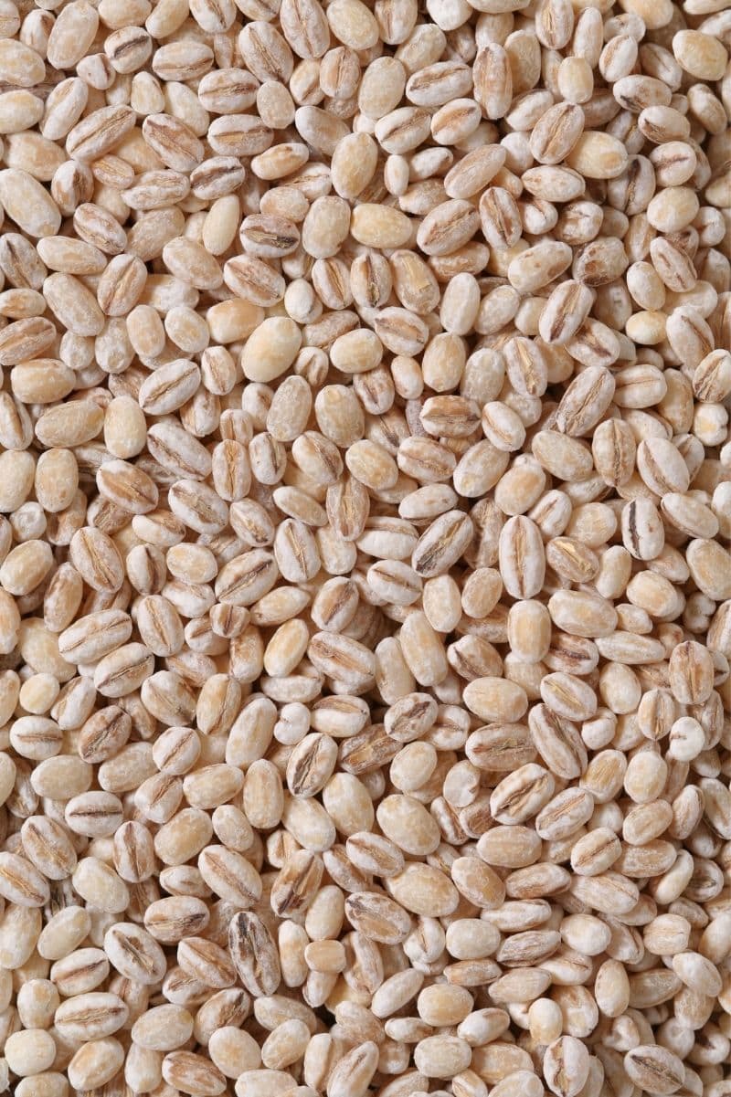 Uncooked, dry grains spread out in a single layer.