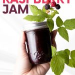 A hand holds up a half-pint jar of black raspberry jam along with sprigs of fresh berries and leaves. A text overlay reads, "Black Raspberry Jam. Featuring Half-Pint Jars from the Makers of Ball Home Canning Products."