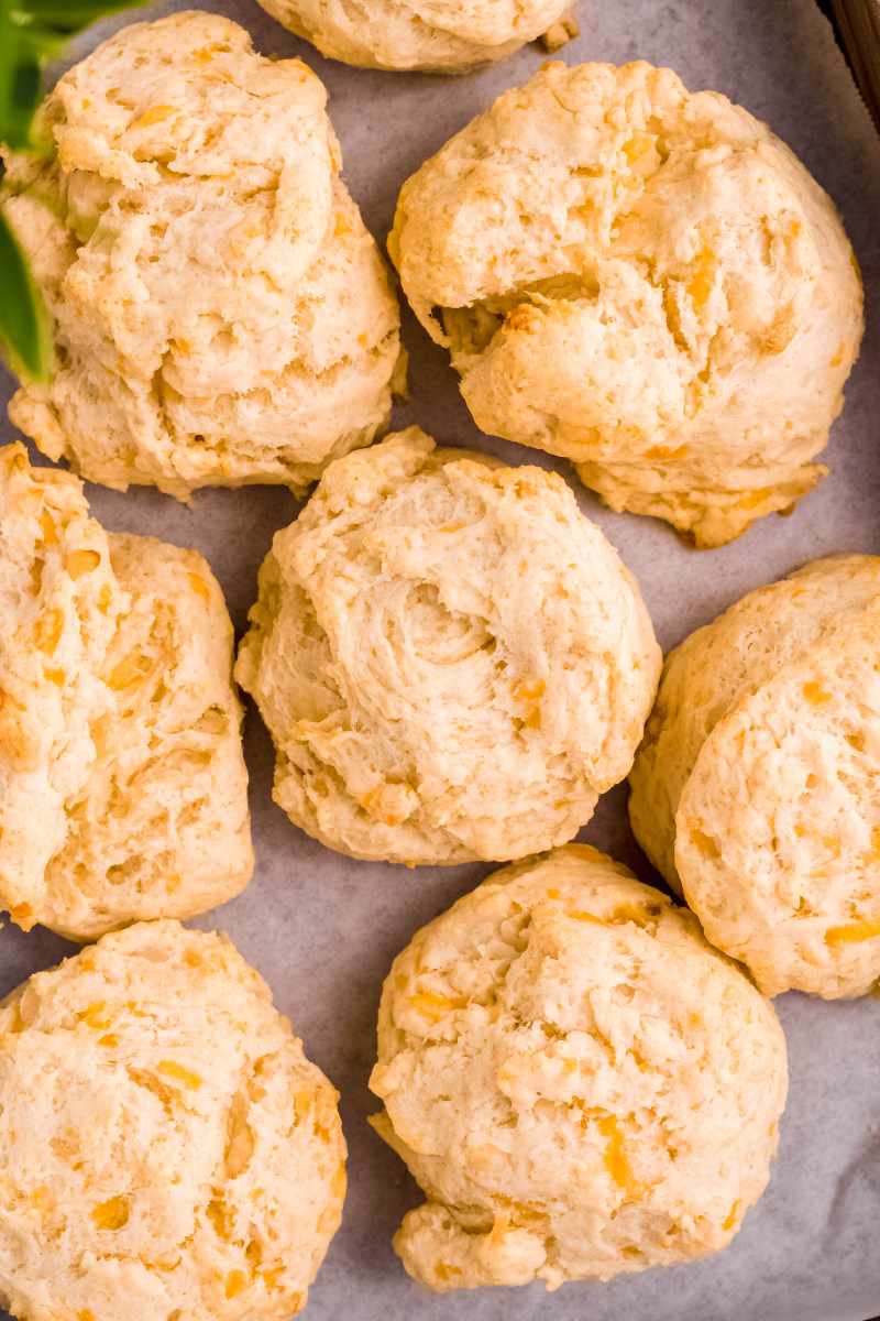 Close view of cheddar and parmesan biscuits on parchment paper.