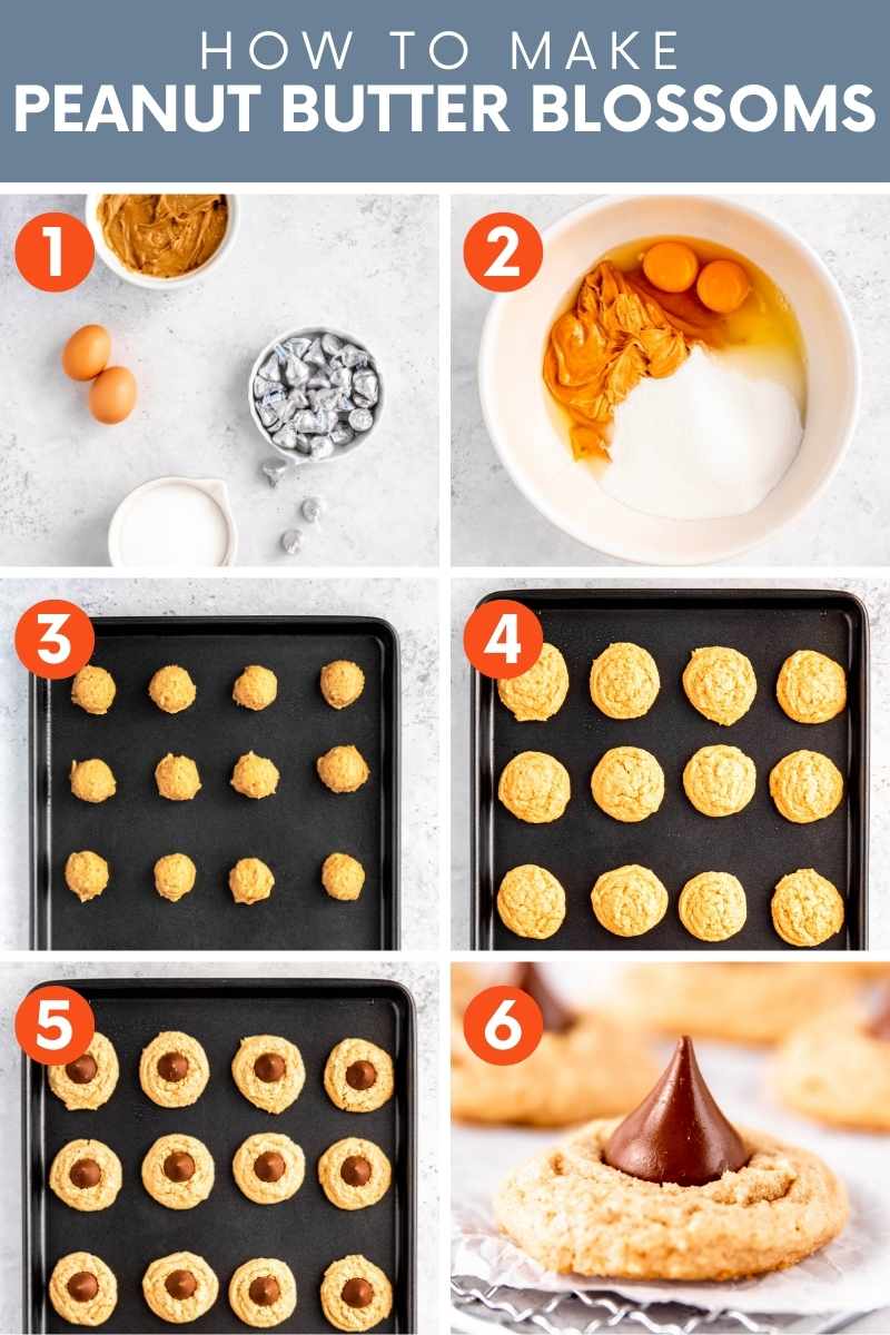 Collage of six easy steps to make peanut butter blossom cookies. A text overlay reads, "How to Make Peanut Butter Blossoms."