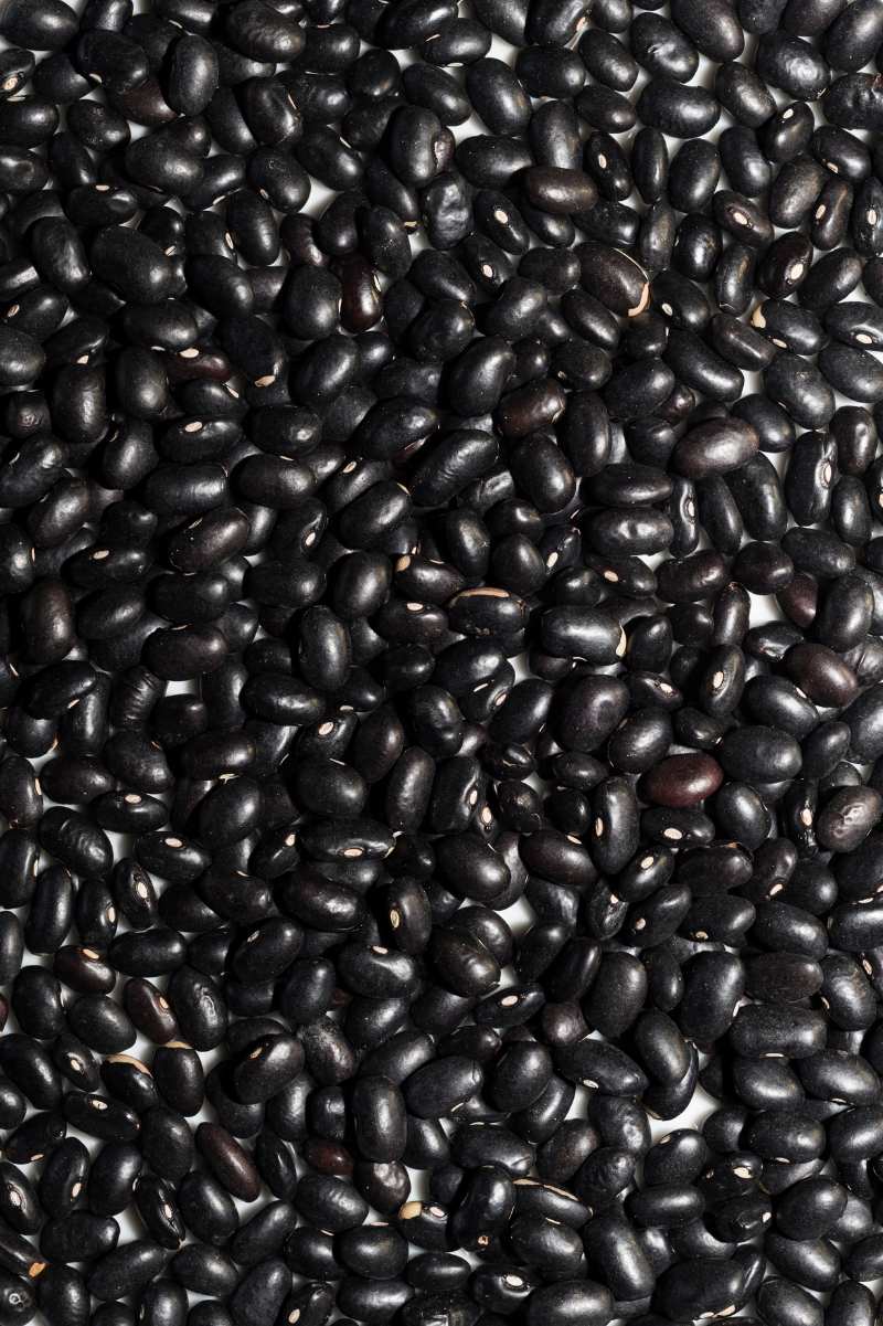 Close view of shiny dried black beans in a single layer on a counter.