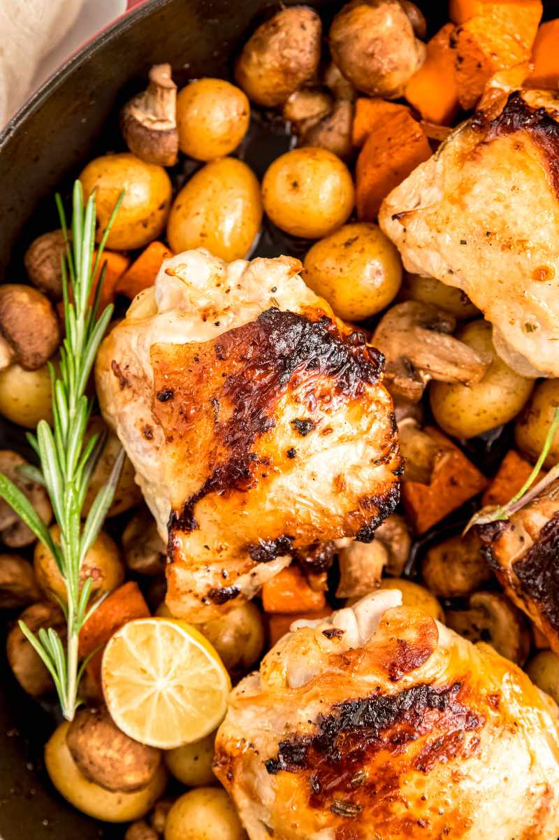 Rosemary chicken thighs atop sweet potato pieces, button mushroom halves, and baby potatoes in an enameled cast iron skillet.