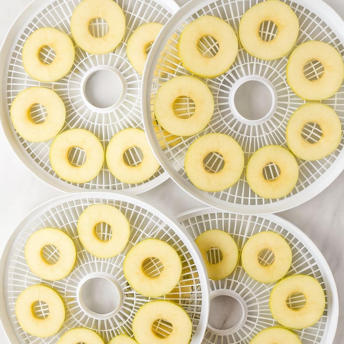 Apple slices on dehydrator trays
