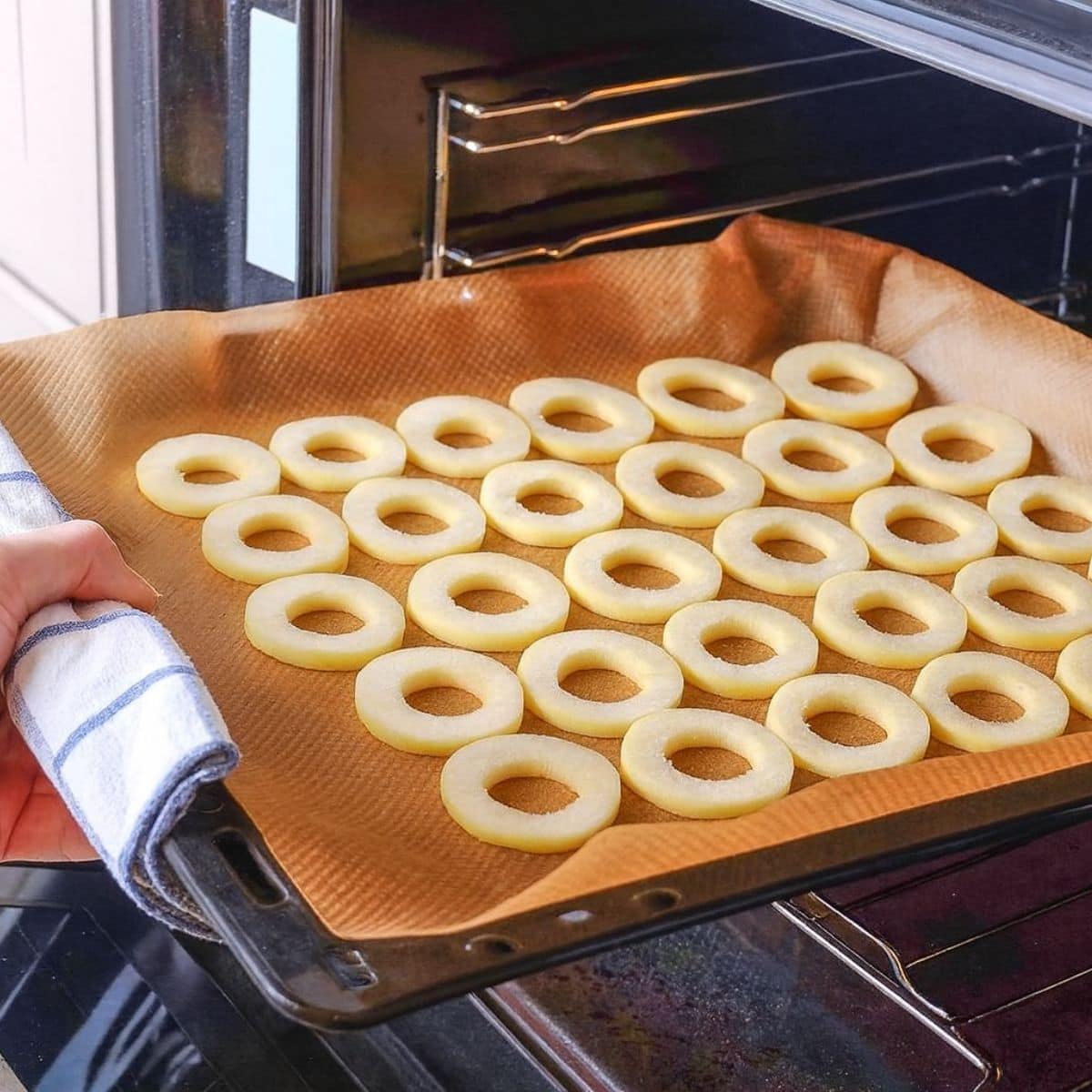 Inserted apple slices into the oven