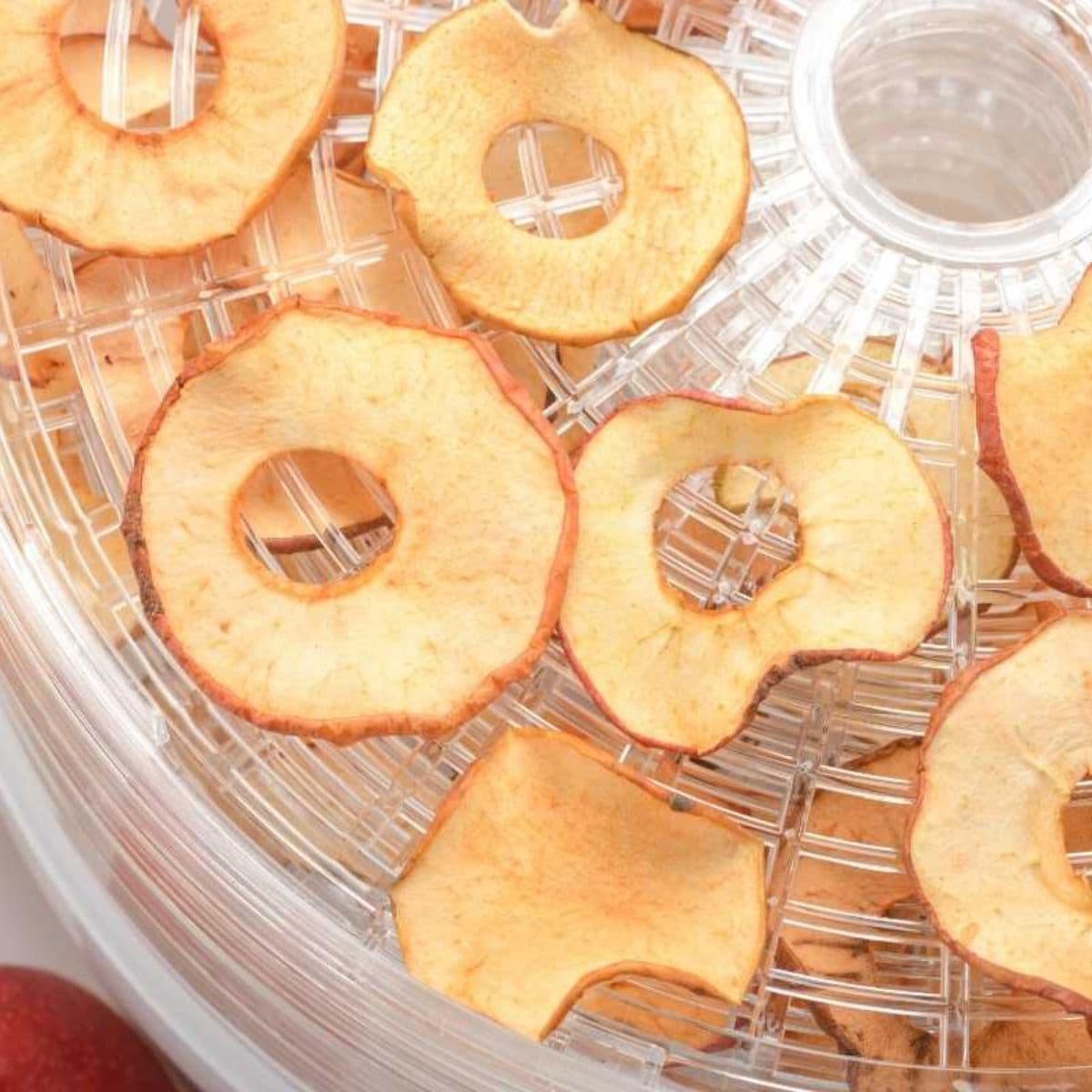 Apple chips on a food dehydrator