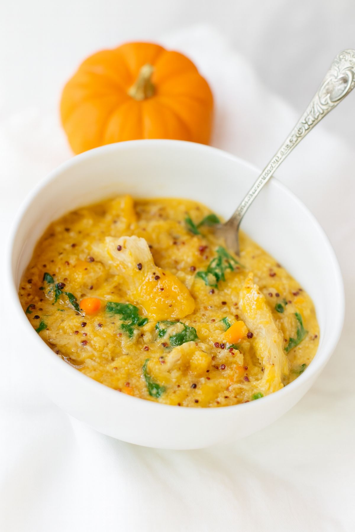 A spoon sticks out of a bowl of pumpkin chicken soup.