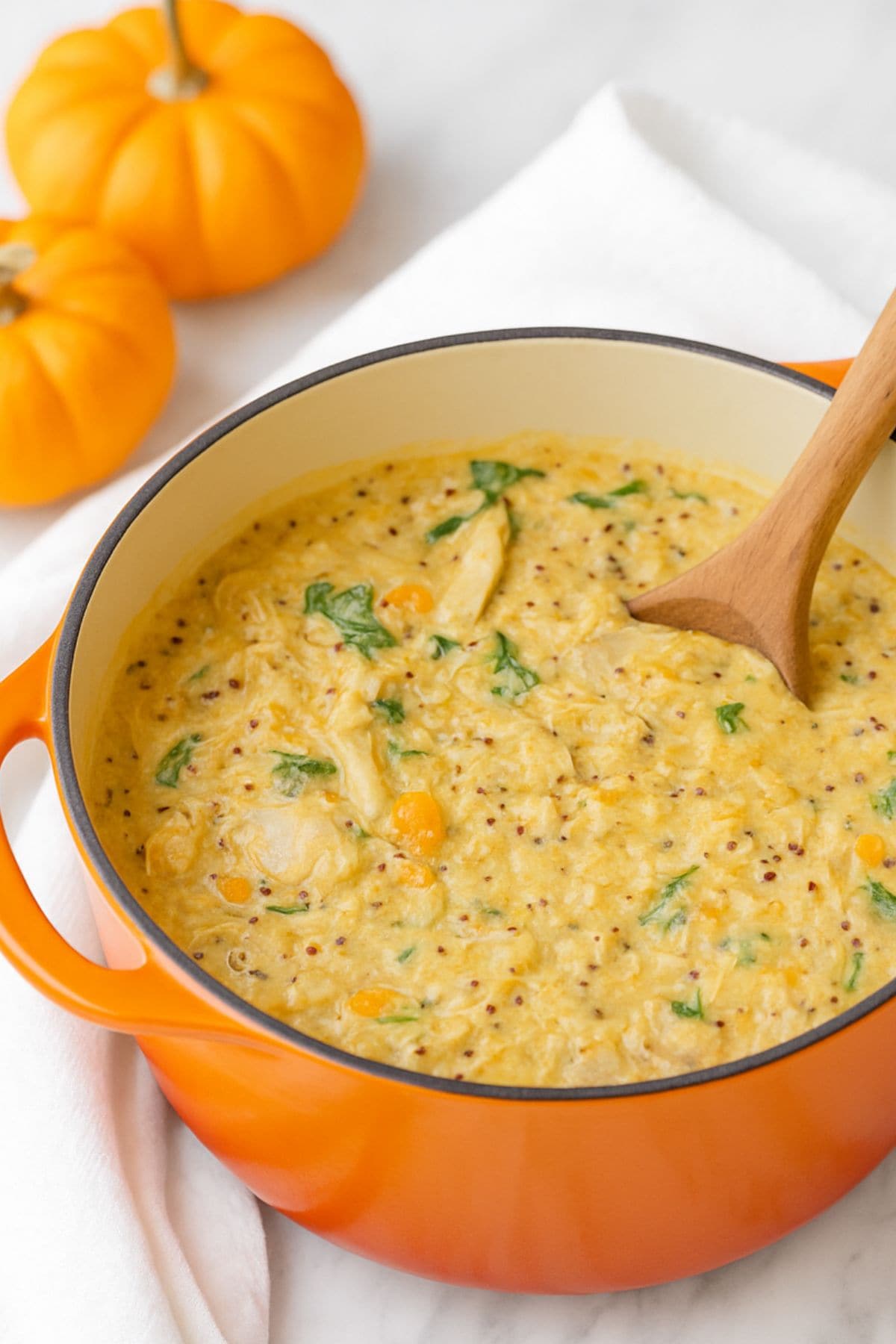 Wooden spoon in an orange pot of chicken and pumpkin soup.