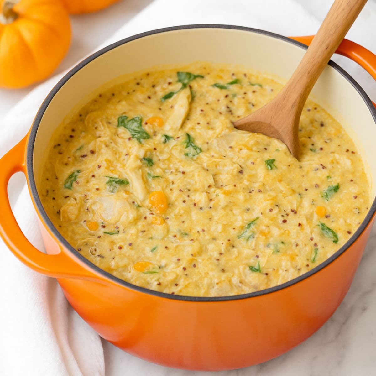 Wooden spoon in an orange soup pot of chicken and pumpkin soup.