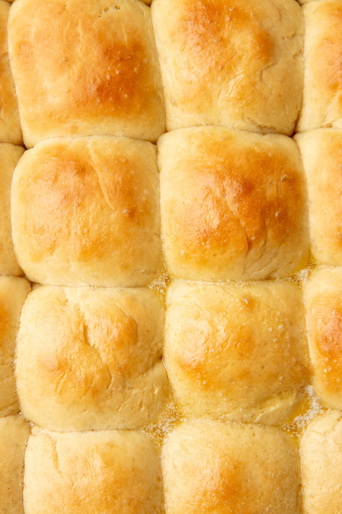 A pan of baked easy yeast rolls brushed with butter.