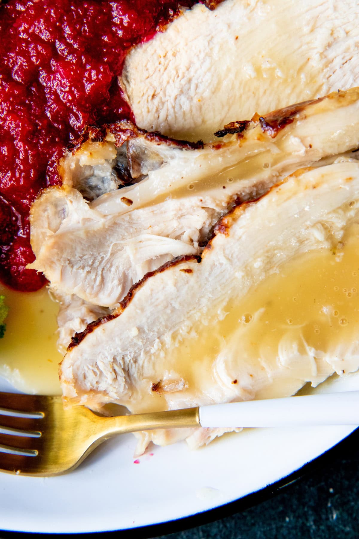 Sliced turkey breast with gravy next to a mound of cranberry sauce.