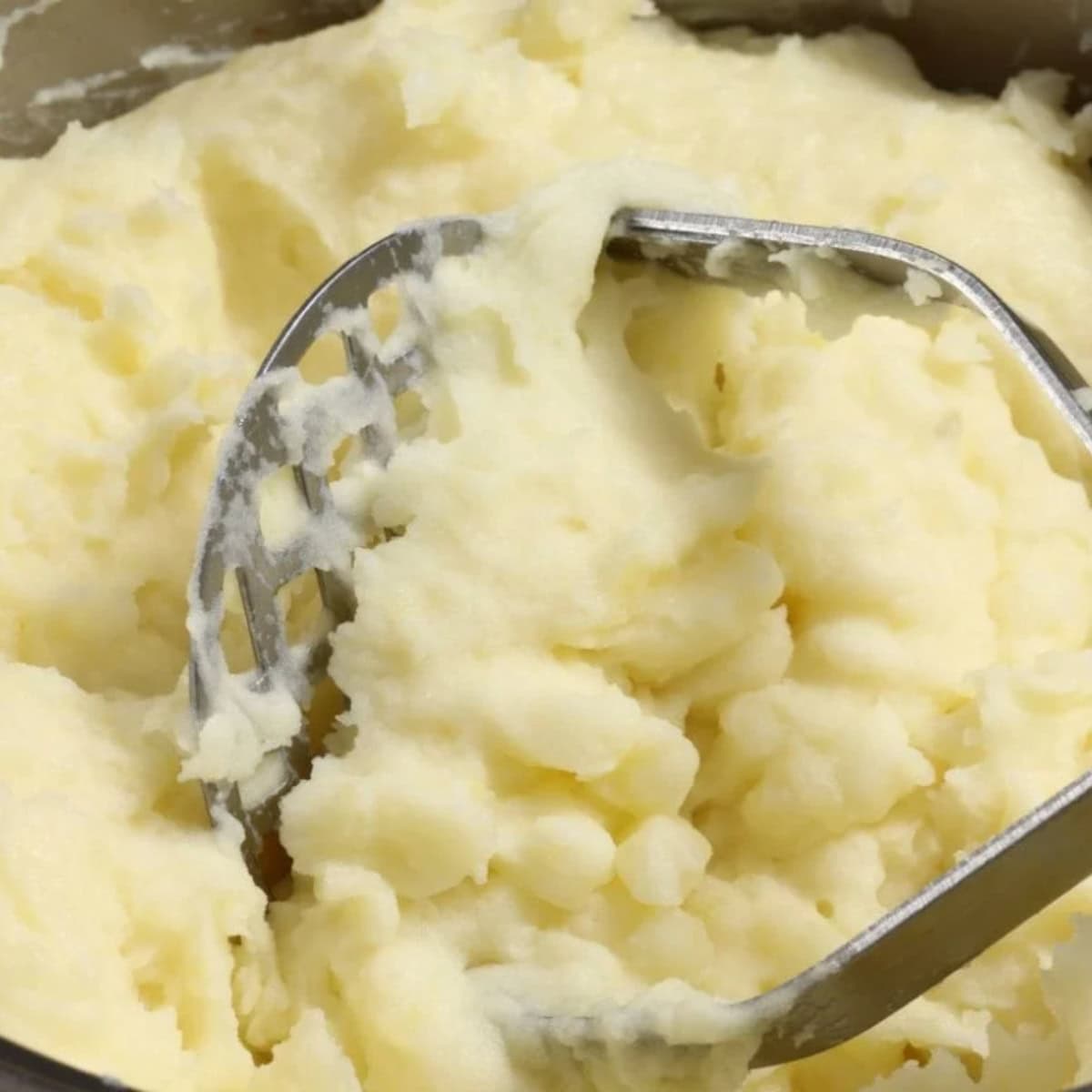 A potato masher in a basin of mashed potatoes.
