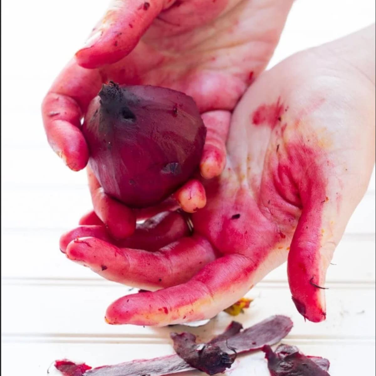 Two hands are stained red from peeling the beet they are holding.