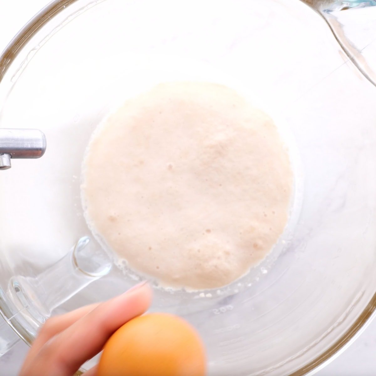 Activated yeast in the bowl of a stand mixer.