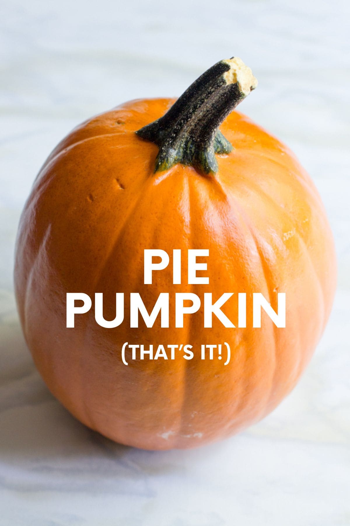 Pumpkin with a text overlay reading "Pie Pumpkin (That's It!)."