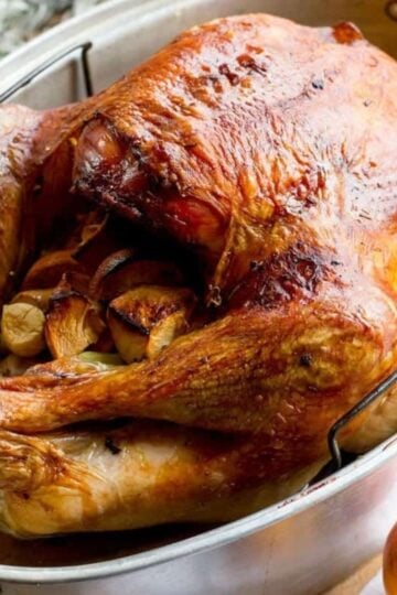 A roasted dry brined turkey on a roasting pan.
