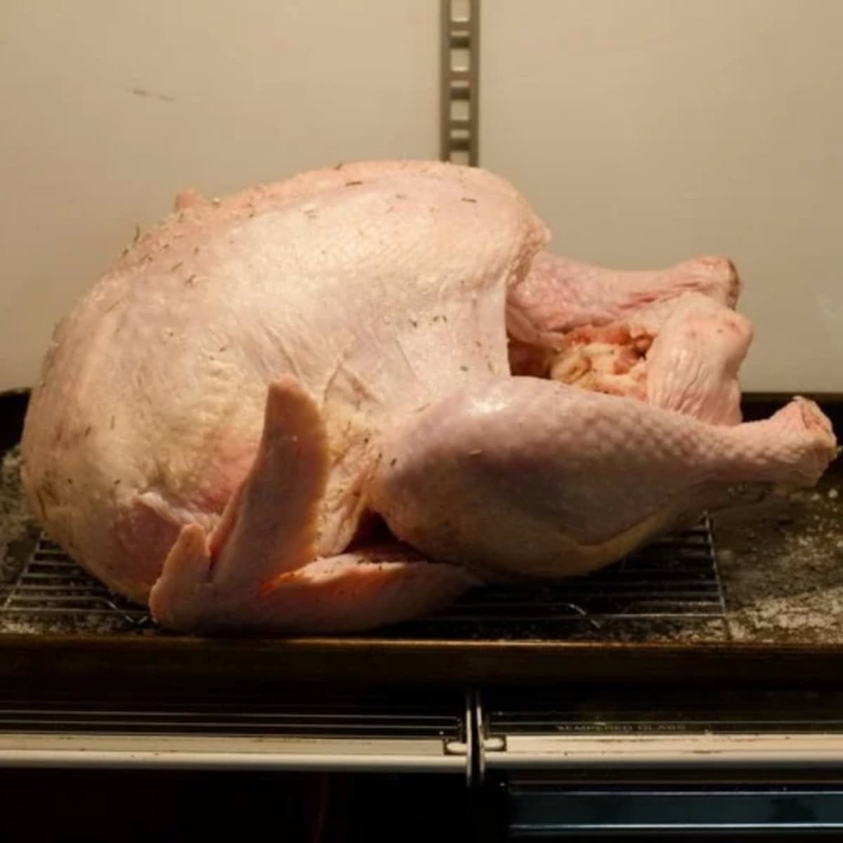 A dry brined turkey rests in the fridge on a baking sheet.