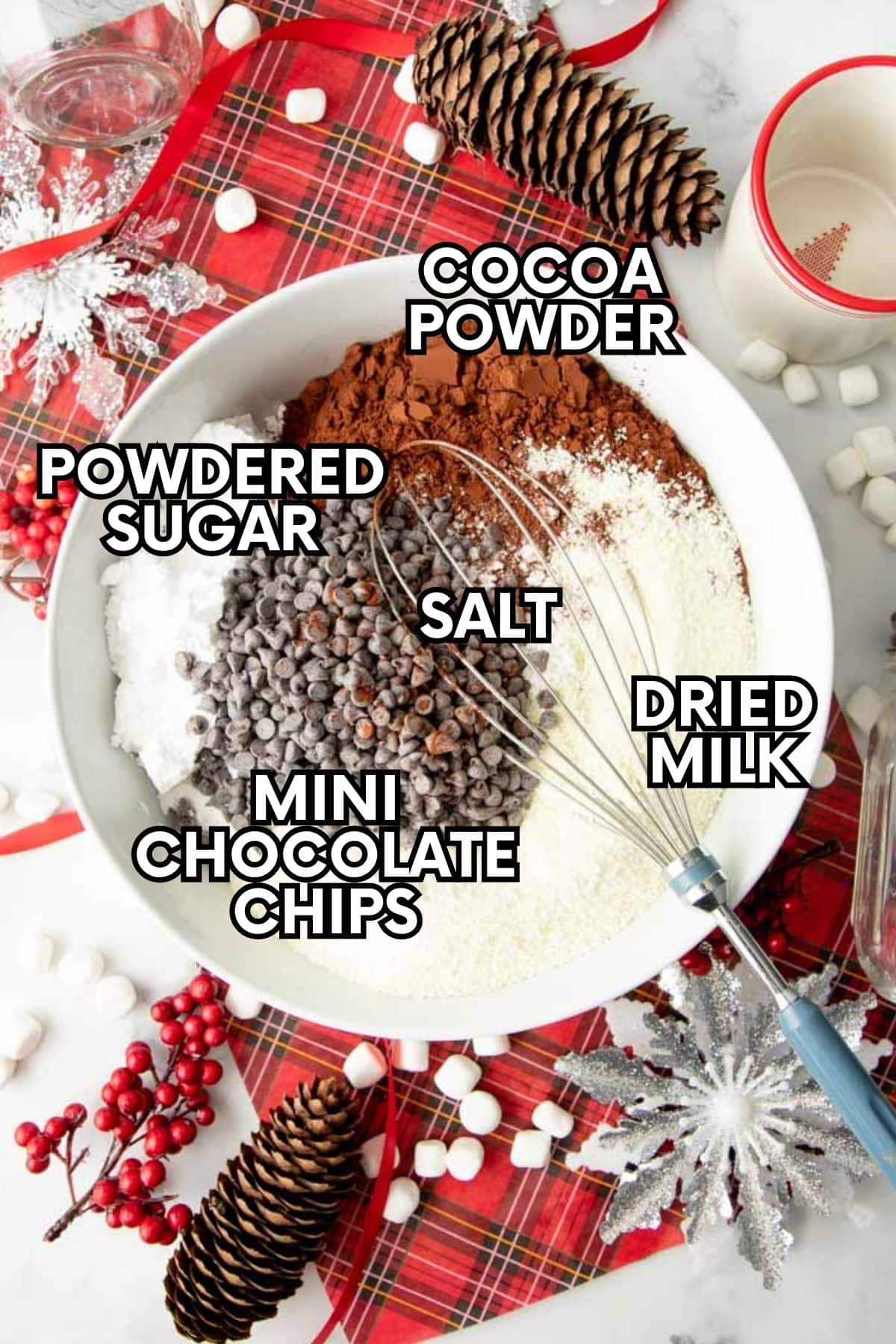 Ingredients for a hot chocolate mix recipe: powdered sugar, cocoa powder, salt, dried milk, mini chocolate chips.