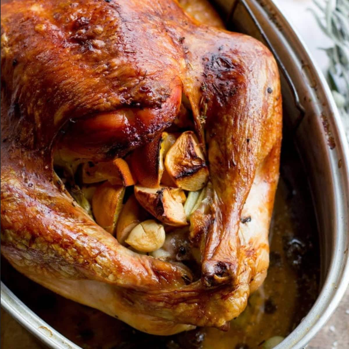 A browned, roasted dry brined turkey stuffed with veggies.
